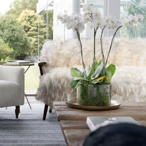 Charming sofa upholstered in long-haired white sheepskin with attractive black-stained solid oak legs and arms.