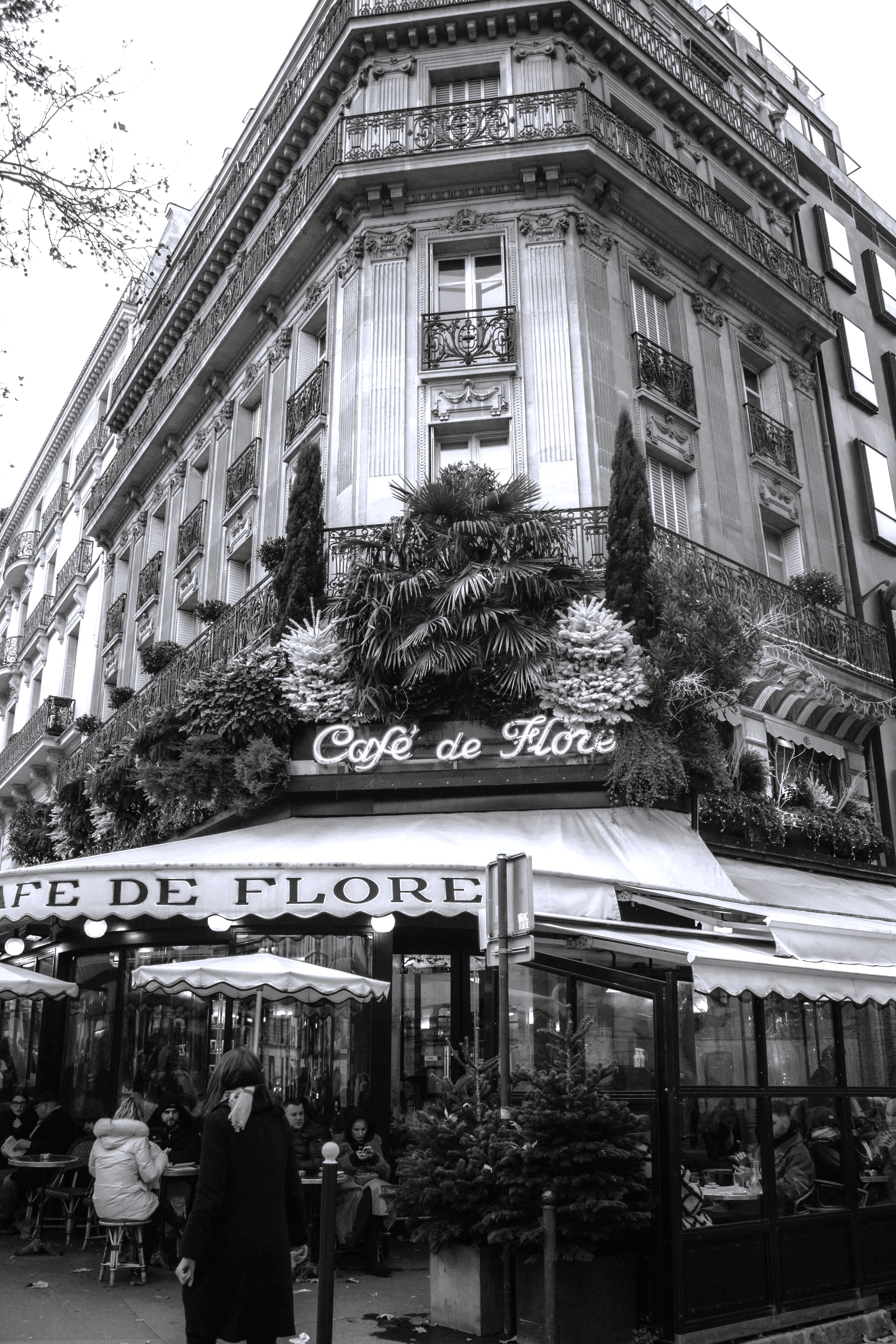 The Café de Flore, a meeting place for intellectuals.