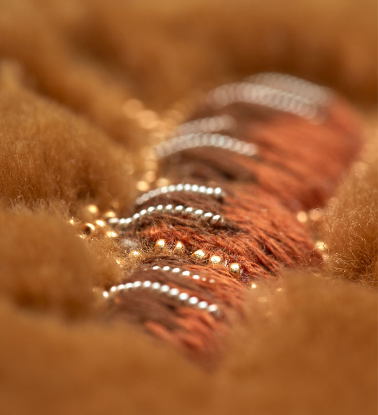 Détail Broderie de Lunéville